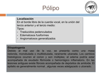 Pólipo
Etiopatogenia
Debido al mal uso de la voz, se presenta como una masa
redonda, monobulada o multilobulada, raramente ulcerada. Los cambios
histológicos ocurren el corion y son múltiples; el edema podría estar
acompañada de exudado fibrinoide o hemorrágico inflamatorio. En las
lesiones antiguas existe fibrosis acompañada de depósitos de amiloide. El
epitelio es generalmente normal , algunas veces adelgazado o ulcerado.
Localización
En el borde libre de la cuerda vocal, en la unión del
tercio anterior y el tercio medio:
Tipos:
- Traslucidos pedenculados
- Edematosos fusiformes
- Angiomatosos generalizados
 