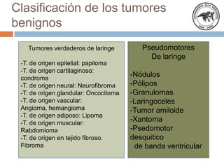 Clasificación de los tumores
benignos
Tumores verdaderos de laringe
-T. de origen epitelial: papiloma
-T. de origen cartilaginoso:
condroma
-T. de origen neural: Neurofibroma
-T. de origen glandular: Oncocitoma
-T. de origen vascular:
Angioma, hemangioma
-T. de origen adiposo: Lipoma
-T. de origen muscular:
Rabdomioma
-T. de origen en tejido fibroso.
Fibroma

Pseudomotores
De laringe
-Nódulos
-Pólipos
-Granulomas
-Laringoceles
-Tumor amiloide
-Xantoma
-Psedomotor
desquitico
de banda ventricular

 