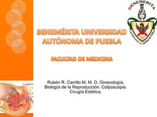 Rubén R. Carrillo M. M. D. Ginecología,
Biología de la Reproducción. Colposcopia.
Cirugía Estética.
 