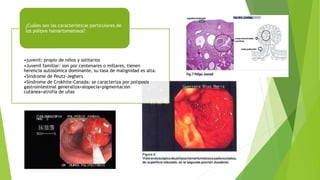•juvenil: propio de niños y solitarios
•Juvenil familiar: son por centenares o millares, tienen
herencia autosómica dominante, su tasa de malignidad es alta.
•Síndrome de Peutz-Jeghers
•Síndrome de Crokhite-Canada: se caracteriza por poliposis
gastrointestinal generaliza+alopecia+pigmentación
cutánea+atrofia de uñas
¿Cuáles son las características particulares de
los pólipos hamartomatosos?
 