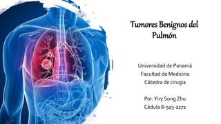 Tumores Benignos del
Pulmón
Universidad de Panamá
Facultad de Medicina
Cátedra de cirugia
Por:Yiry Song Zhu
Cédula 8-923-2172
 