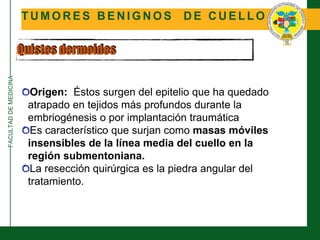 FACULTADDEMEDICINA
T U M O R E S B E N I G N O S D E C U E L L O
Quistes dermoides
Origen: Éstos surgen del epitelio que ha quedado
atrapado en tejidos más profundos durante la
embriogénesis o por implantación traumática
Es característico que surjan como masas móviles
insensibles de la línea media del cuello en la
región submentoniana.
La resección quirúrgica es la piedra angular del
tratamiento.
 