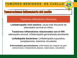 FACULTADDEMEDICINA
T U M O R E S B E N I G N O S D E C U E L L O
Tumoraciones inflamatoria del cuello
Trastornos inflamatorios infecciosos
Linfadenopatía viral reactiva: causa más frecuente de
adenopatía cervical en niños.
Trastornos inflamatorios relacionados con el VIH:
adenopatía cervical, linfadenopatía generalizada persistente
Linfadopatía bacteriana: Linfadenopatía supurativa,
toxoplasmosis, tularemia, brucelosis
Enfermedades granulomatosas: enfermedad por rasguño de gato,
actinomicosis, micobacterias atípicas, tuberculosis, sarcoidosis
 
