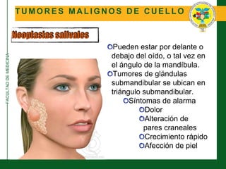 FACULTADDEMEDICINA
T U M O R E S M A L I G N O S D E C U E L L O
Neoplasias salivales
Pueden estar por delante o
debajo del oído, o tal vez en
el ángulo de la mandíbula.
Tumores de glándulas
submandibular se ubican en
triángulo submandibular.
Síntomas de alarma
Dolor
Alteración de
pares craneales
Crecimiento rápido
Afección de piel
 