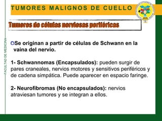 FACULTADDEMEDICINA
T U M O R E S M A L I G N O S D E C U E L L O
Tumores de células nerviosas periféricas
Se originan a partir de células de Schwann en la
vaina del nervio.
1- Schwannomas (Encapsulados): pueden surgir de
pares craneales, nervios motores y sensitivos periféricos y
de cadena simpática. Puede aparecer en espacio faringe.
2- Neurofibromas (No encapsulados): nervios
atraviesan tumores y se integran a ellos.
 