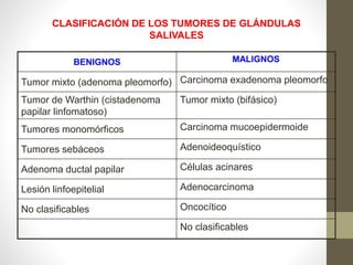 BENIGNOS MALIGNOS
Tumor mixto (adenoma pleomorfo) Carcinoma exadenoma pleomorfo
Tumor de Warthin (cistadenoma
papilar linfomatoso)
Tumor mixto (bifásico)
Tumores monomórficos Carcinoma mucoepidermoide
Tumores sebáceos Adenoideoquístico
Adenoma ductal papilar Células acinares
Lesión linfoepitelial Adenocarcinoma
No clasificables Oncocítico
No clasificables
CLASIFICACIÓN DE LOS TUMORES DE GLÁNDULAS
SALIVALES
 