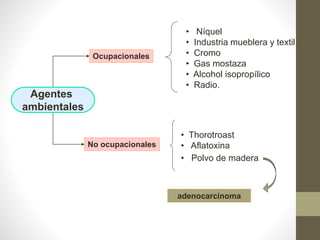 • Thorotroast
• Aflatoxina
• Polvo de madera
Agentes
ambientales
• Níquel
• Industria mueblera y textil
• Cromo
• Gas mostaza
• Alcohol isopropílico
• Radio.
Ocupacionales
No ocupacionales
adenocarcinoma
 