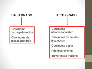 BAJO GRADO ALTO GRADO
•Carcinoma
mucoepidermoide
•Carcinoma de
células acinares
•Carcinoma
adenoideoquístico
•Carcinoma de células
escamosas
•Carcinoma ductal
•Adenocarcinoma
•Tumor mixto maligno
 
