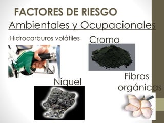 FACTORES DE RIESGO
Ambientales y Ocupacionales
Níquel
CromoHidrocarburos volátiles
Fibras
orgánicas
 