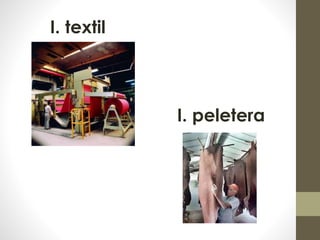I. textil
I. peletera
 