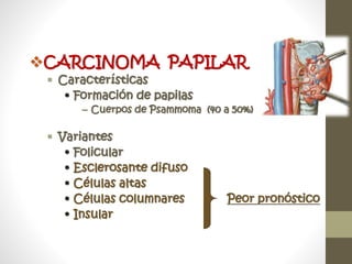 CARCINOMA PAPILAR
 Características
• Formación de papilas
– Cuerpos de Psammoma (40 a 50%)
 Variantes
• Folicular
• Esclerosante difuso
• Células altas
• Células columnares Peor pronóstico
• Insular
 