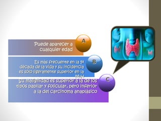 A
Puede aparecer a
cualquier edad
BEs más frecuente en la 5ª
década de la vida y su incidencia
es sólo ligeramente superior en la
M:H
CSu malignidad es superior a la de los
tipos papilar y folicular, pero inferior
a la del carcinoma anaplásico
Add Your
Text here
 