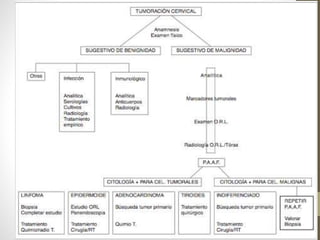 Tumores cabeza y cuello