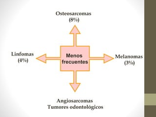 Menos
frecuentes
Linfomas
(4%)
Melanomas
(3%)
Osteosarcomas
(8%)
Angiosarcomas
Tumores odontológicos
 