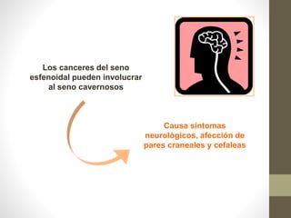 Causa síntomas
neurológicos, afección de
pares craneales y cefaleas
Los canceres del seno
esfenoidal pueden involucrar
al seno cavernosos
 