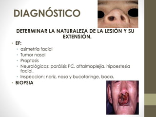 DIAGNÓSTICO
DETERMINAR LA NATURALEZA DE LA LESIÓN Y SU
EXTENSIÓN.
• EF:
• asimetría facial
• Tumor nasal
• Proptosis
• Neurológicas: parálisis PC, oftalmoplejía, hipoestesia
facial.
• Inspeccion: nariz, naso y bucofaringe, boca.
• BIOPSIA
 