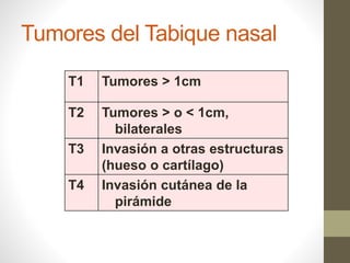 Tumores del Tabique nasal
T1 Tumores > 1cm
T2 Tumores > o < 1cm,
bilaterales
T3 Invasión a otras estructuras
(hueso o cartílago)
T4 Invasión cutánea de la
pirámide
 