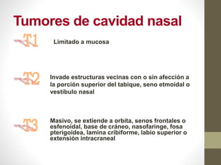 Tumores de cavidad nasal
Limitado a mucosa
Invade estructuras vecinas con o sin afección a
la porción superior del tabique, seno etmoidal o
vestíbulo nasal
Masivo, se extiende a orbita, senos frontales o
esfenoidal, base de cráneo, nasofaringe, fosa
pterigoidea, lamina cribiforme, labio superior o
extensión intracraneal
 