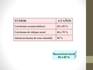 TUMOR A 5 AÑOS
Carcinoma escamocelulares 20 a 50 %
Carcinoma de tabique nasal 40 a 70 %
Adenocarcinoma de seno etmoidal 90 %
Recurrencia local
40 a 60 %.
 