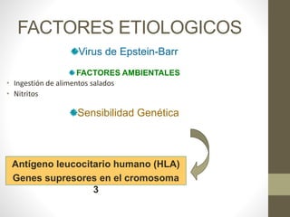 FACTORES ETIOLOGICOS
Virus de Epstein-Barr
FACTORES AMBIENTALES
• Ingestión de alimentos salados
• Nitritos
Sensibilidad Genética
Antígeno leucocitario humano (HLA)
Genes supresores en el cromosoma
3
 