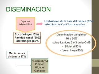 DISEMINACION
Diseminación ganglionar
76 a 90%
sobre los tipos 2 y 3 de la OMS
• Bilateral 50%
• Voluminosa 45%
órganos
adyacentes
Bucofaringe (15%)
Pavidad nasal (20%)
Parafaringeo (80%)
Destrucción de la base del cráneo (25%)
Afeccion de V y VI par caneales
Hueso (80%)
Pulmón
Hígado
Ganglios
Metástasis a
distancia 87%
 
