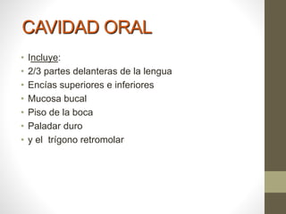 CAVIDAD ORAL
• Incluye:
• 2/3 partes delanteras de la lengua
• Encías superiores e inferiores
• Mucosa bucal
• Piso de la boca
• Paladar duro
• y el trígono retromolar
 