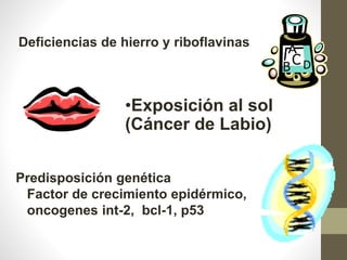 •Exposición al sol
(Cáncer de Labio)
Predisposición genética
Factor de crecimiento epidérmico,
oncogenes int-2, bcl-1, p53
Deficiencias de hierro y riboflavinas
 