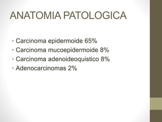 ANATOMIA PATOLOGICA
• Carcinoma epidermoide 65%
• Carcinoma mucoepidermoide 8%
• Carcinoma adenoideoquistico 8%
• Adenocarcinomas 2%
 