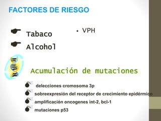 FACTORES DE RIESGO
 Tabaco
 Alcohol
• VPH
Acumulación de mutaciones
 delecciones cromosoma 3p
 sobreexpresión del receptor de crecimiento epidérmico
 amplificación oncogenes int-2, bcl-1
 mutaciones p53
 