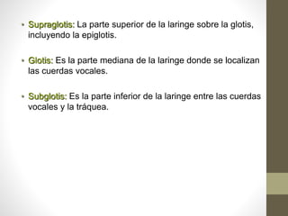 • Supraglotis: La parte superior de la laringe sobre la glotis,
incluyendo la epiglotis.
• Glotis: Es la parte mediana de la laringe donde se localizan
las cuerdas vocales.
• Subglotis: Es la parte inferior de la laringe entre las cuerdas
vocales y la tráquea.
 