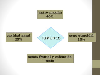 TUMORES
antro maxilar
60%
cavidad nasal
20%
seno etmoidal
10%
senos frontal y esfenoidal
resto
 