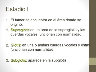 Estadio I
• El tumor se encuentra en el área donde se
originó.
1. Supraglotis:en un área de la supraglotis y las
cuerdas vocales funcionan con normalidad.
2. Glotis: en una o ambas cuerdas vocales y estas
funcionan con normalidad.
3. Subglotis: aparece en la subglotis
 
