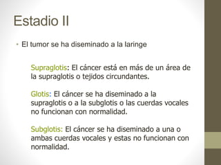 Estadio II
• El tumor se ha diseminado a la laringe
Supraglotis: El cáncer está en más de un área de
la supraglotis o tejidos circundantes.
Glotis: El cáncer se ha diseminado a la
supraglotis o a la subglotis o las cuerdas vocales
no funcionan con normalidad.
Subglotis: El cáncer se ha diseminado a una o
ambas cuerdas vocales y estas no funcionan con
normalidad.
 
