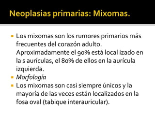 Tumores cardiacos Slide 5