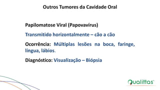 Outros Tumores da Cavidade Oral
Papilomatose Viral (Papovavírus)
Transmitido horizontalmente – cão a cão
Ocorrência: Múltiplas lesões na boca, faringe,
língua, lábios.
Diagnóstico: Visualização – Biópsia
 