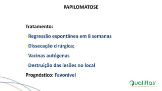 PAPILOMATOSE
Tratamento:
•Regressão espontânea em 8 semanas
•Dissecação cirúrgica;
•Vacinas autógenas
•Destruição das lesões no local
Prognóstico: Favorável
 