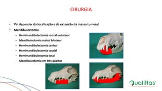 CIRURGIA
• Vai depender da localização e da extensão da massa tumoral
• Mandibulectomia
– Hemimandibulectomia rostral unilateral
– Mandibulectomia rostral bilateral
– Hemimandibulectomia central
– Hemimandibulectomia caudal
– Hemimandibulectomia total
– Mandibulectomia em três quartos
 