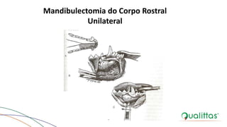 Mandibulectomia do Corpo Rostral
Unilateral
BOJRAB, 1996.
 