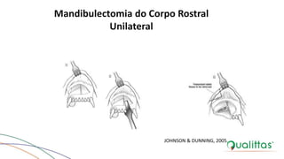 Mandibulectomia do Corpo Rostral
Unilateral
JOHNSON & DUNNING, 2005.
 