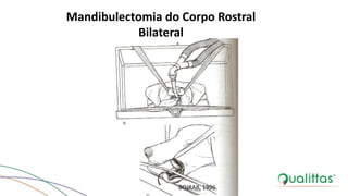 Mandibulectomia do Corpo Rostral
Bilateral
BOJRAB, 1996.
 