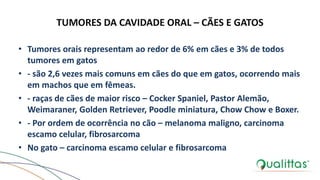 TUMORES DA CAVIDADE ORAL – CÃES E GATOS
• Tumores orais representam ao redor de 6% em cães e 3% de todos
tumores em gatos
• - são 2,6 vezes mais comuns em cães do que em gatos, ocorrendo mais
em machos que em fêmeas.
• - raças de cães de maior risco – Cocker Spaniel, Pastor Alemão,
Weimaraner, Golden Retriever, Poodle miniatura, Chow Chow e Boxer.
• - Por ordem de ocorrência no cão – melanoma maligno, carcinoma
escamo celular, fibrosarcoma
• No gato – carcinoma escamo celular e fibrosarcoma
 