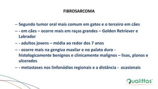 FIBROSARCOMA
– Segundo tumor oral mais comum em gatos e o terceiro em cães
– - em cães – ocorre mais em raças grandes – Golden Retriever e
Labrador
– - adultos jovens – média ao redor dos 7 anos
– - ocorre mais na gengiva maxilar e no palato duro -
histologicamente benignos e clinicamente malignos – lisos, planos e
ulcerados
– - metastases nos linfonódios regionais e a distância - ocasionais
 