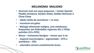 MELANOMA MALIGNO
• Ocorrem mais em raças pequenas – Cocker Spaniel,
Poodle miniatura, Gordon Setter, Golden Retriever e
Chow Chow
• - Idade média de ocorrência – 11 anos
• - Incomum em gatos
• - Biologia altamente maligna, com metástases
frequentes aos linfonódios regionais (41 a 74%)e
pulmões (14 a 92%)
• Nevus – melanoma benigno – menor que 2 cm
• - Aspecto macroscópico – pigmentado – 67% e
amelânico – 33%
• - ulcerados comum envolvimento ósseo
 
