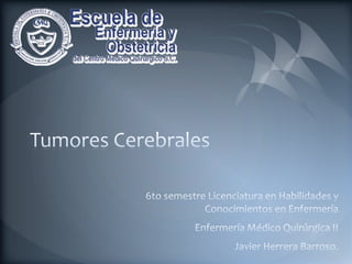 Tumores Cerebrales 6to semestre Licenciatura en Habilidades y Conocimientos en Enfermería Enfermería Médico Quirúrgica II Javier Herrera Barroso. 