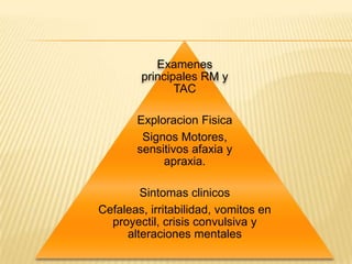 Examenes
        principales RM y
               TAC

       Exploracion Fisica
        Signos Motores,
       sensitivos afaxia y
            apraxia.

        Sintomas clinicos
Cefaleas, irritabilidad, vomitos en
  proyectil, crisis convulsiva y
     alteraciones mentales
 