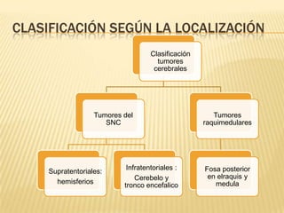 CLASIFICACIÓN SEGÚN LA LOCALIZACIÓN
                                    Clasificación
                                      tumores
                                     cerebrales




                   Tumores del                         Tumores
                      SNC                           raquimedulares




                            Infratentoriales :      Fosa posterior
     Supratentoriales:
                               Cerebelo y            en elraquis y
       hemisferios                                     medula
                           tronco encefalico
 