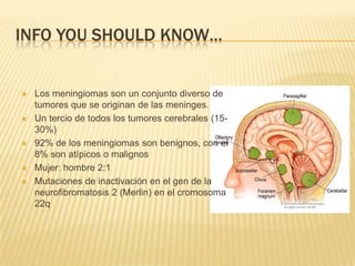 INFO YOU SHOULD KNOW…


   Los meningiomas son un conjunto diverso de
    tumores que se originan de las meninges.
   Un tercio de todos los tumores cerebrales (15-
    30%)
   92% de los meningiomas son benignos, con el
    8% son atípicos o malignos
   Mujer: hombre 2:1
   Mutaciones de inactivación en el gen de la
    neurofibromatosis 2 (Merlin) en el cromosoma
    22q
 
