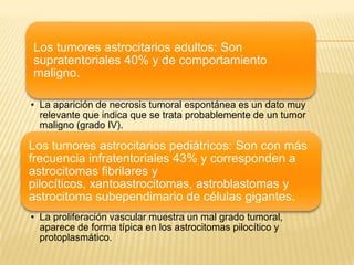Los tumores astrocitarios adultos: Son
supratentoriales 40% y de comportamiento
maligno.

• La aparición de necrosis tumoral espontánea es un dato muy
  relevante que indica que se trata probablemente de un tumor
  maligno (grado IV).

Los tumores astrocitarios pediátricos: Son con más
frecuencia infratentoriales 43% y corresponden a
astrocitomas fibrilares y
pilocíticos, xantoastrocitomas, astroblastomas y
astrocitoma subependimario de células gigantes.
• La proliferación vascular muestra un mal grado tumoral,
  aparece de forma típica en los astrocitomas pilocítico y
  protoplasmático.
 