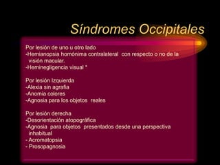 Síndromes Occipitales
Por lesión de uno u otro lado
-Hemianopsia homónima contralateral con respecto o no de la
visión macular.
-Heminegligencia visual *
Por lesión Izquierda
-Alexia sin agrafia
-Anomia colores
-Agnosia para los objetos reales
Por lesión derecha
-Desorientación atopográfica
-Agnosia para objetos presentados desde una perspectiva
inhabitual
- Acromatopsia
- Prosopagnosia
 