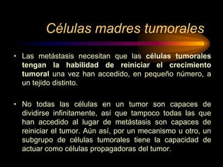 Células madres tumorales
• Las metástasis necesitan que las células tumorales
tengan la habilidad de reiniciar el crecimiento
tumoral una vez han accedido, en pequeño número, a
un tejido distinto.
• No todas las células en un tumor son capaces de
dividirse infinitamente, así que tampoco todas las que
han accedido al lugar de metástasis son capaces de
reiniciar el tumor. Aún así, por un mecanismo u otro, un
subgrupo de células tumorales tiene la capacidad de
actuar como células propagadoras del tumor.
 